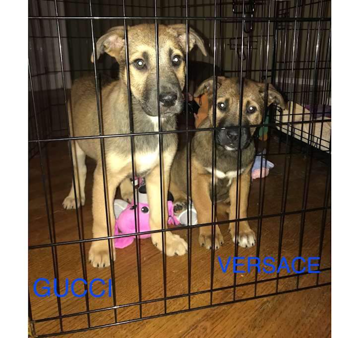 Photo of VERSACE