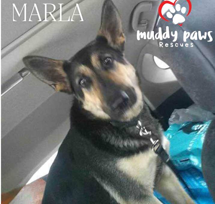 Photo of Marla