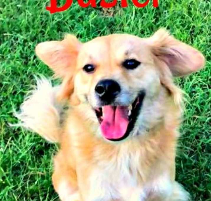 Photo of Buster