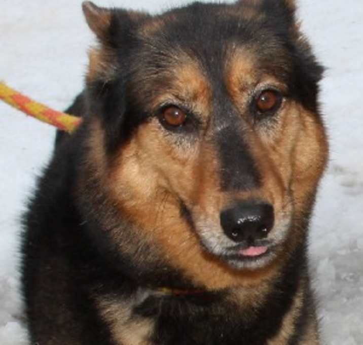 Photo of Zena