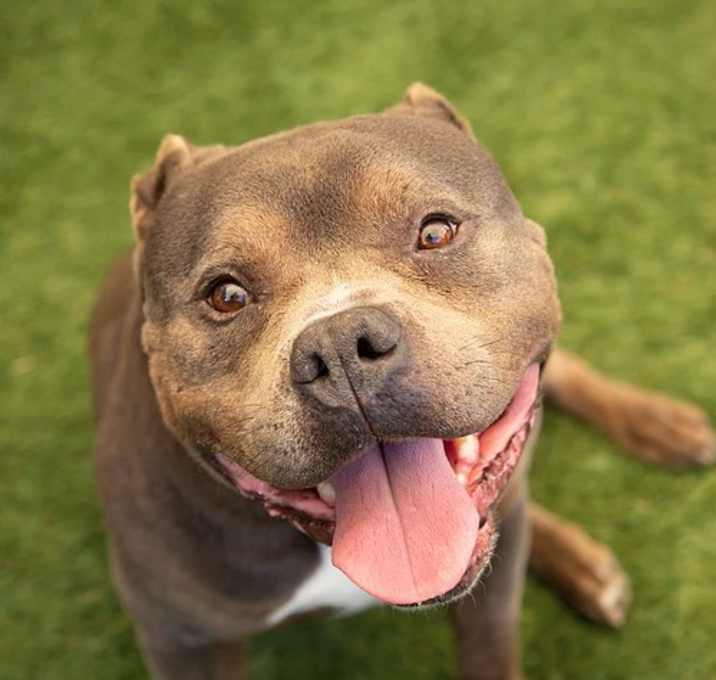 Photo of Kratos