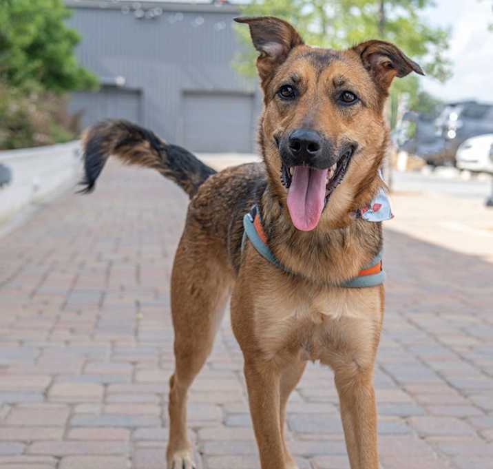 Photo of Lexie