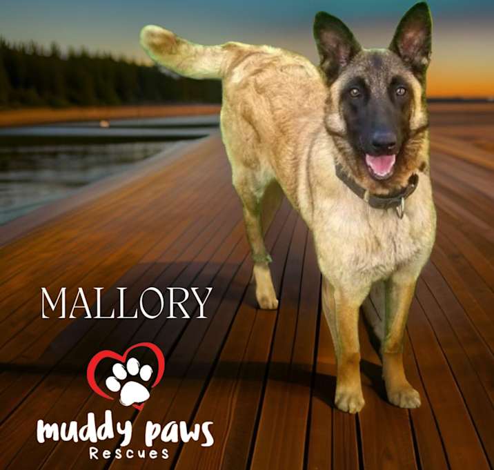 Photo of Mallory