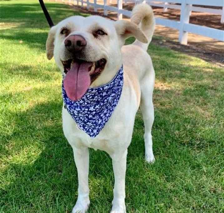 Photo of Maddy