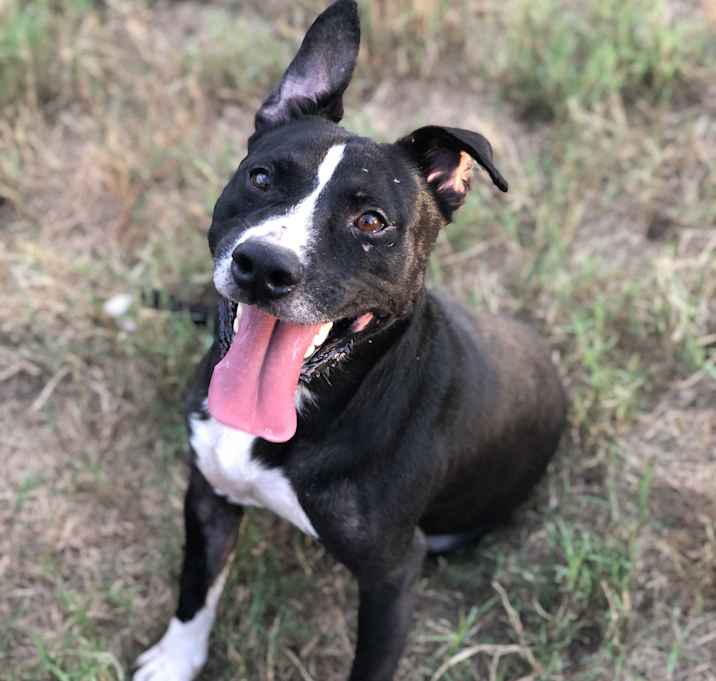 Photo of Rexford (Rex)