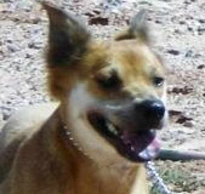 Photo of JoJo