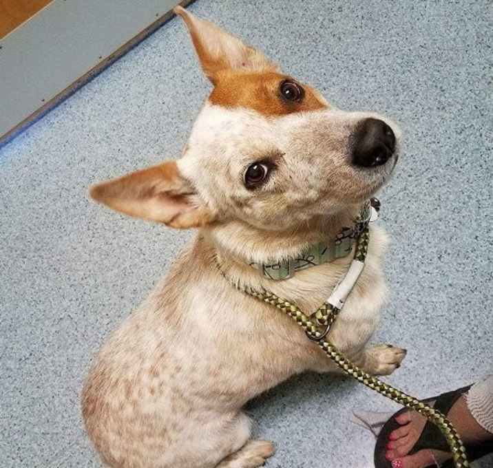 Photo of OOLIE