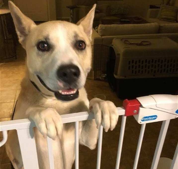 Photo of TIMBER