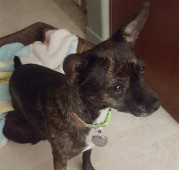 Photo of LOLA