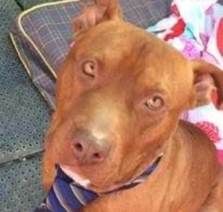Photo of Red