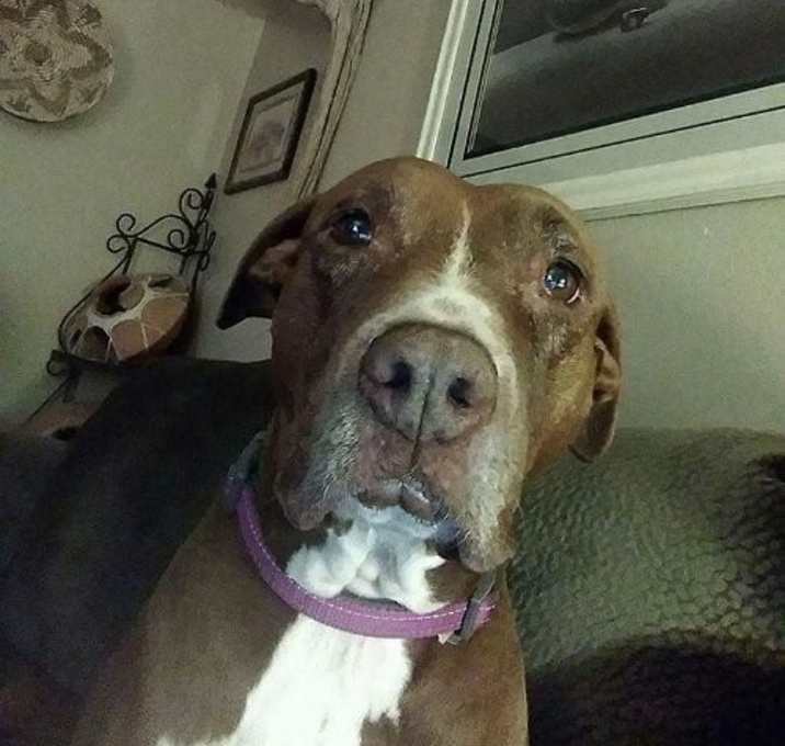 Photo of Honeygirl