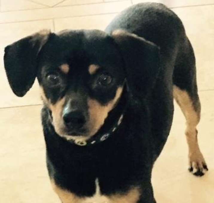 Photo of Scruff