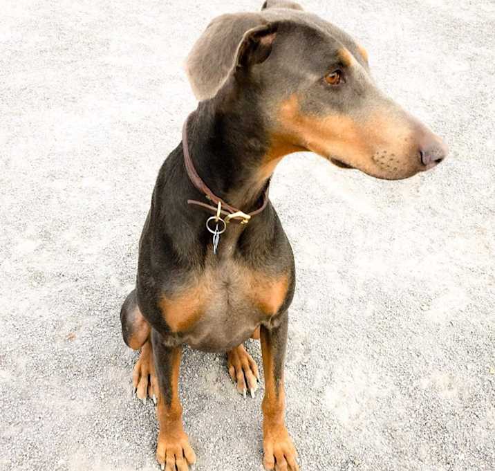 Photo of Rita
