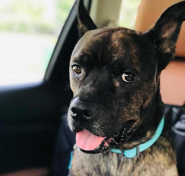 Photo of Jax