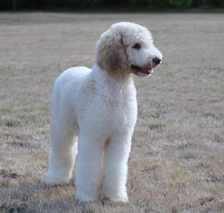 Photo of Murphy