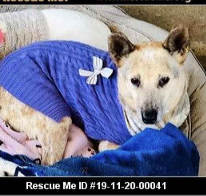 Photo of Belle