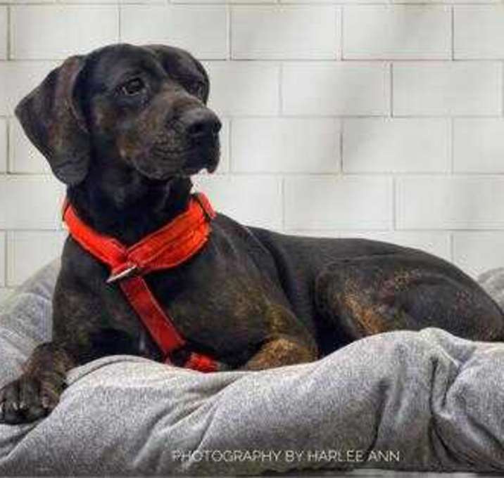 Photo of Baby Girl