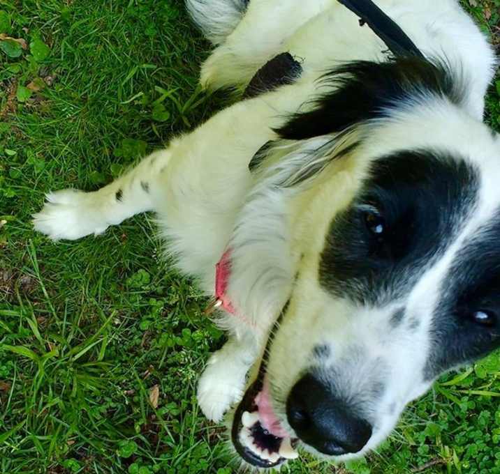 Photo of Lucy