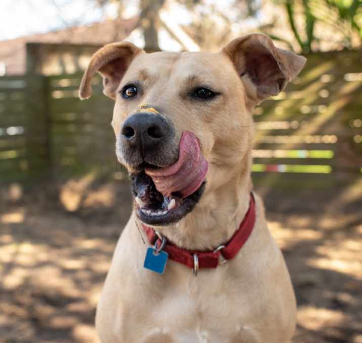 Photo of Lulu