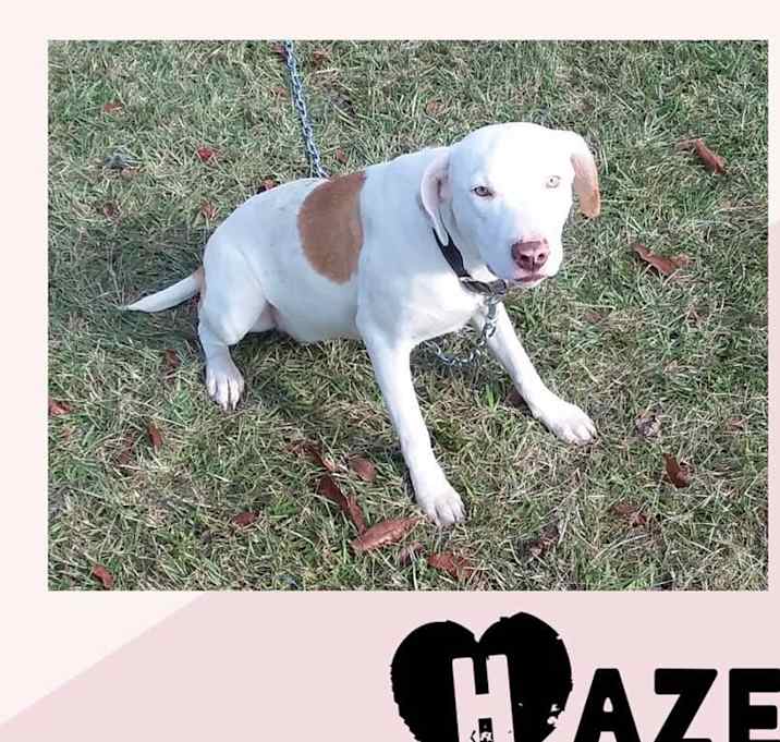 Photo of Hazel