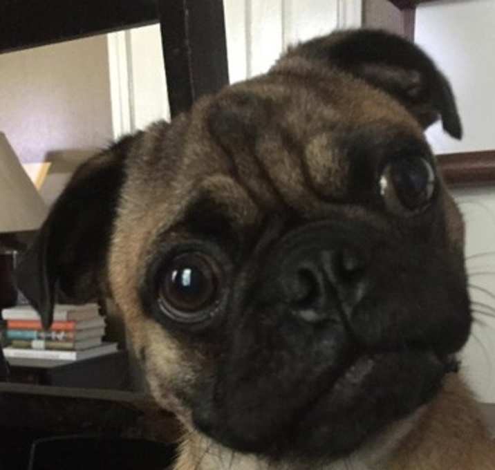 Photo of Jake