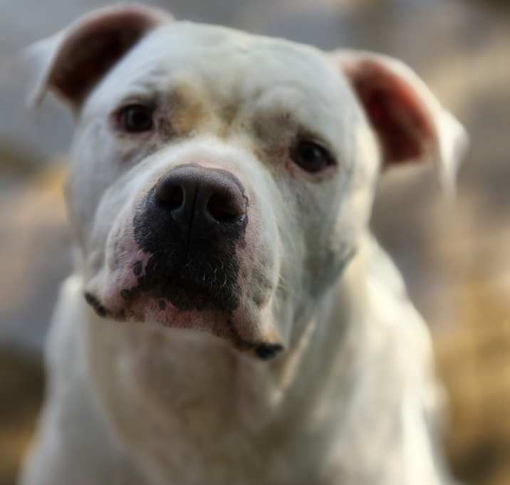 Photo of Crystobal