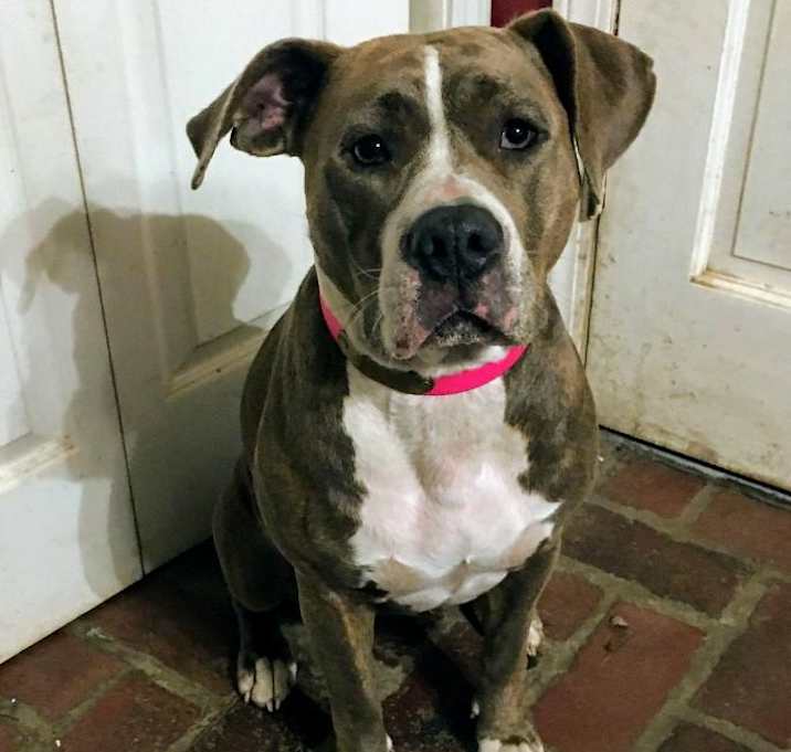 Photo of Baby Girl