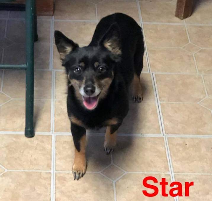 Photo of Star