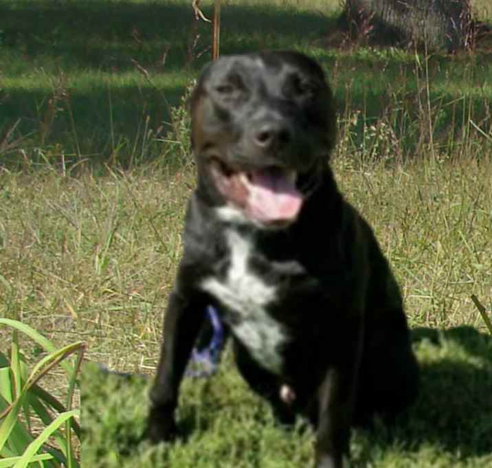 Photo of Hemi