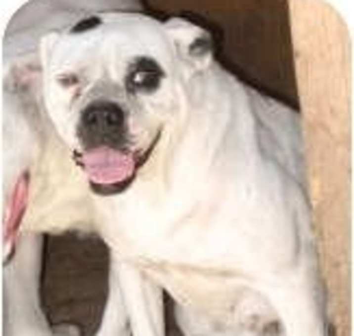 Photo of Blanca