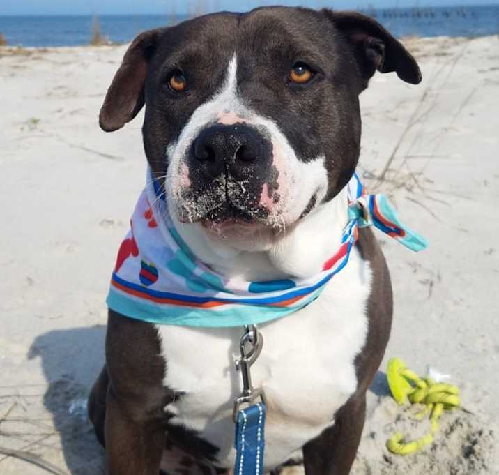 Photo of Jax