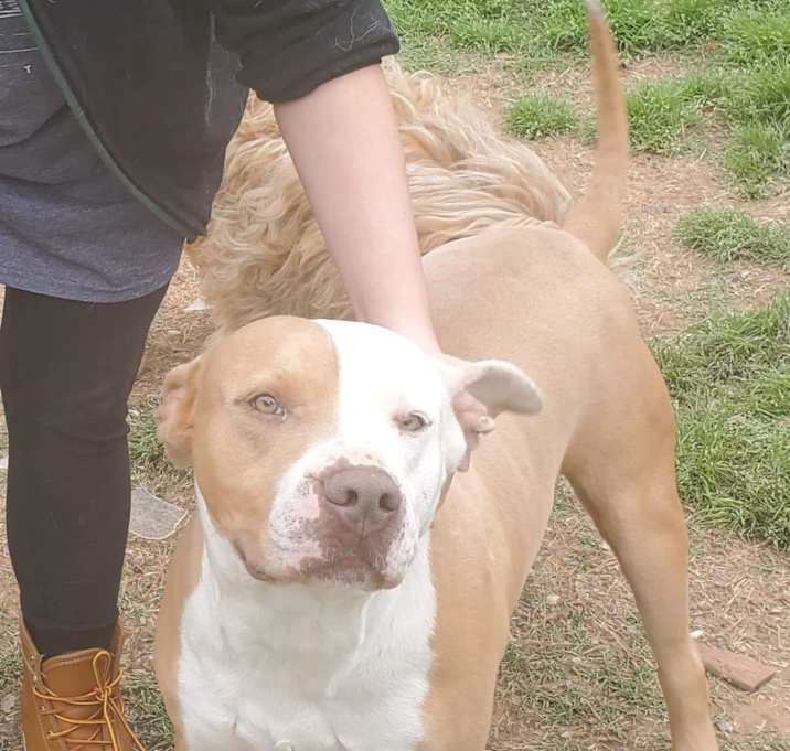 Photo of Sawyer