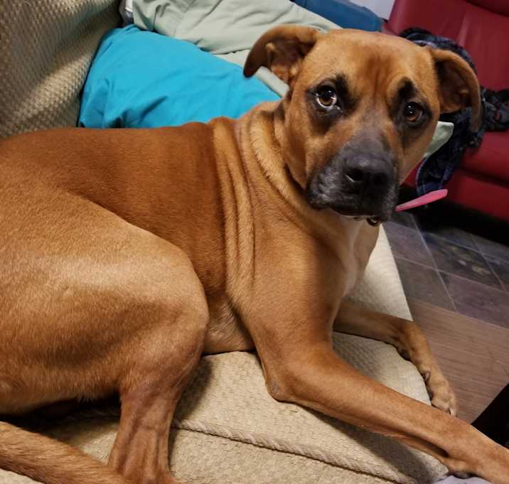 Photo of Rooley