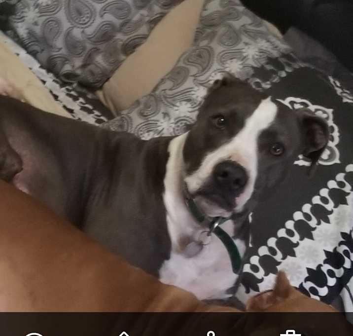 Photo of Zeus