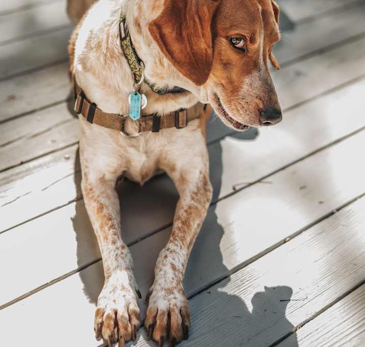 Photo of Luca