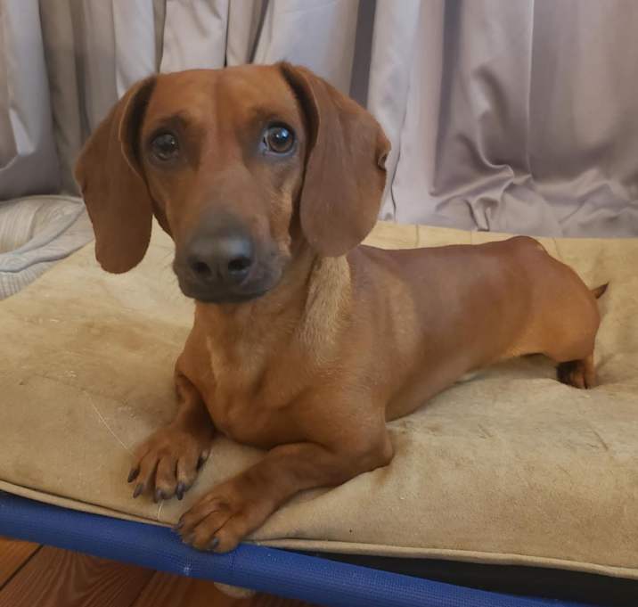 Photo of Copper