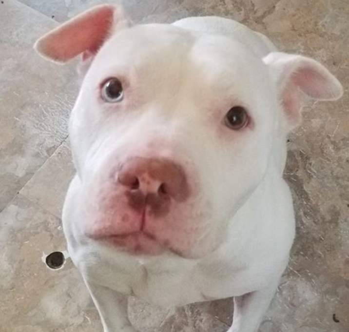 Photo of Ellie