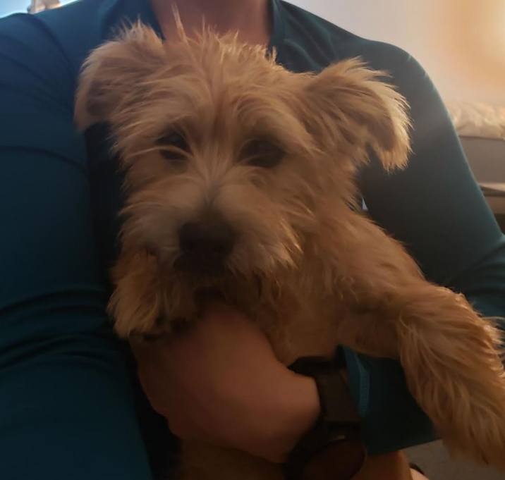 Photo of Kiwi