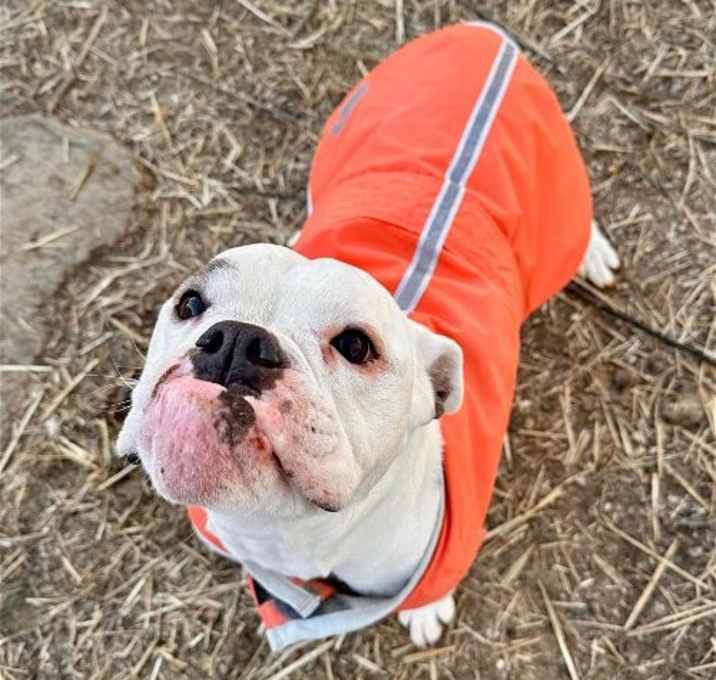 Photo of Daisy Mae