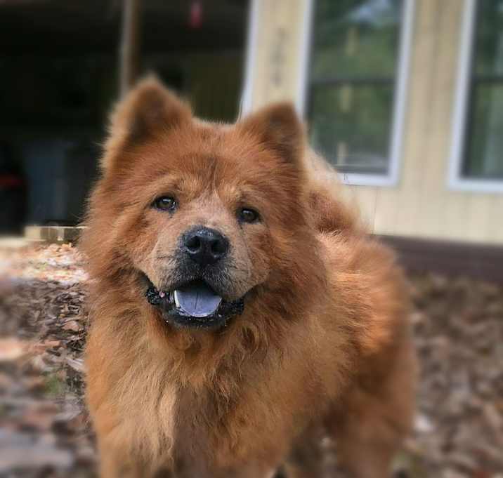 Photo of Leo