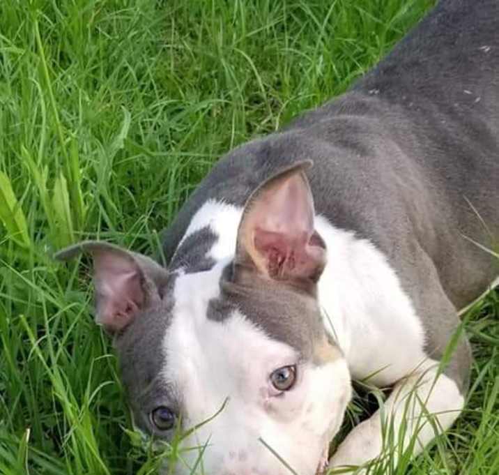 Photo of Karma