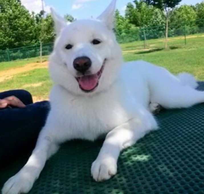 Photo of Bella from Korea