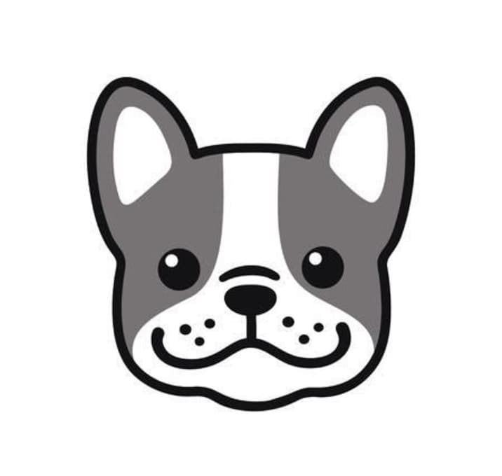 Photo of UNLISTED DOG