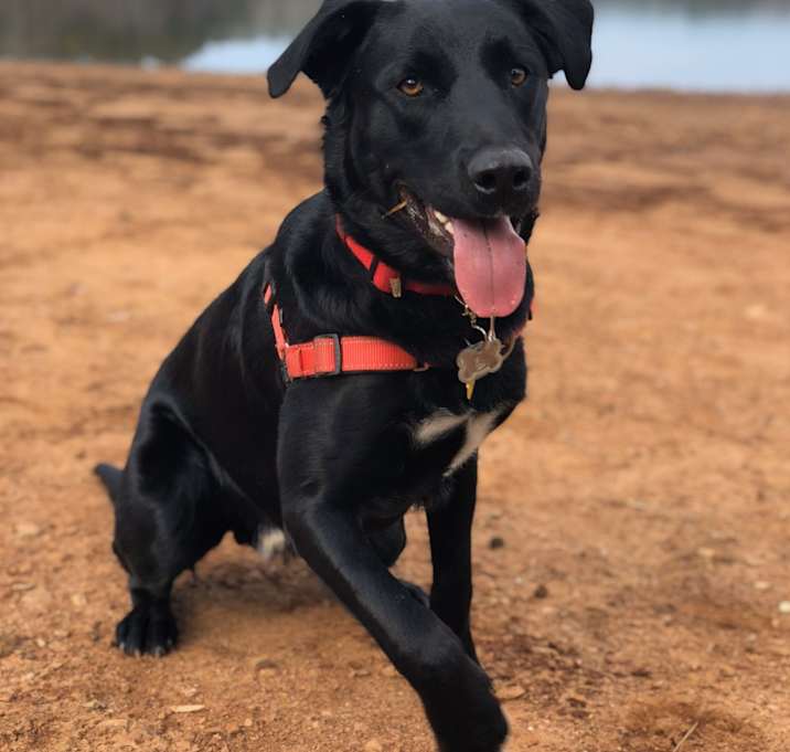 Photo of Jack