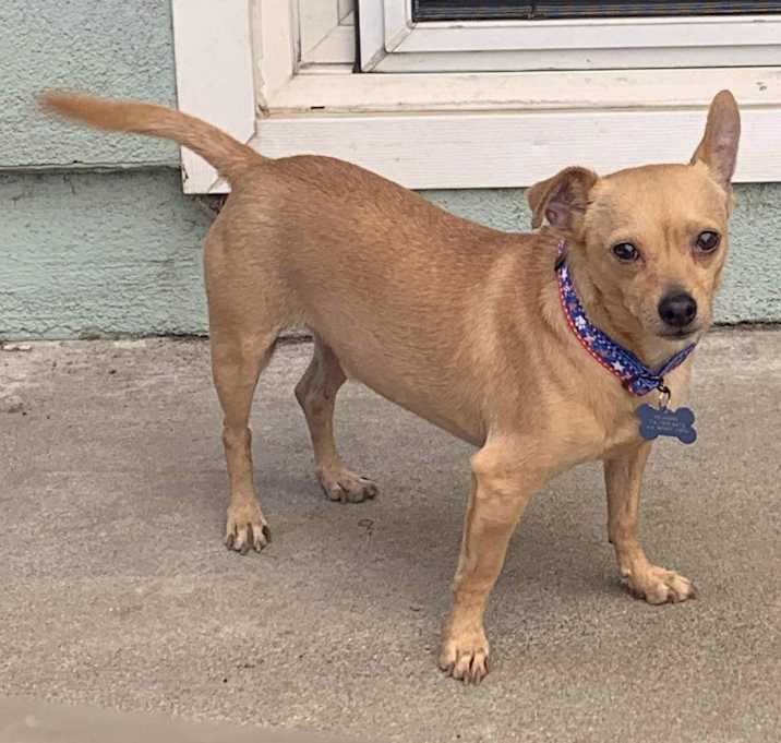 Photo of Buddy