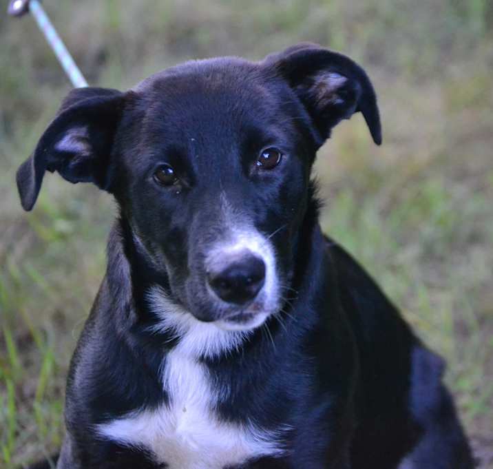 Photo of Loki