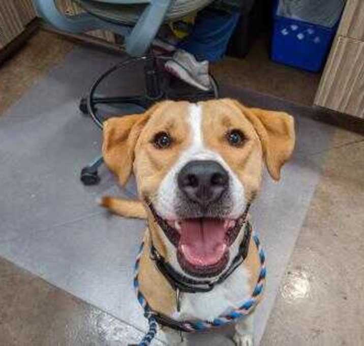 Photo of Leroy