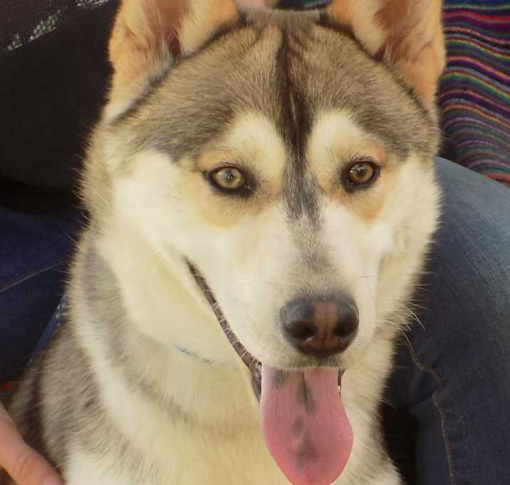 Photo of ZEPHYR