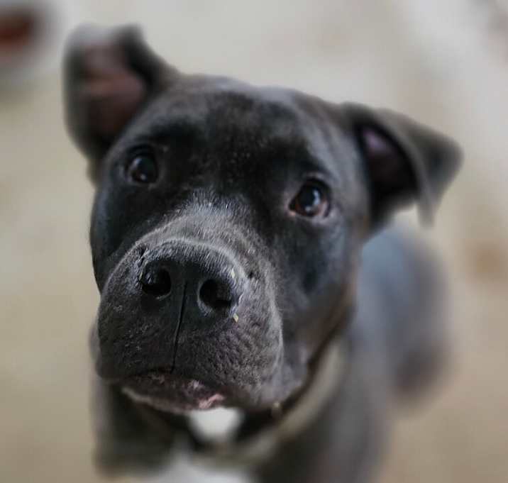 Photo of Beckett