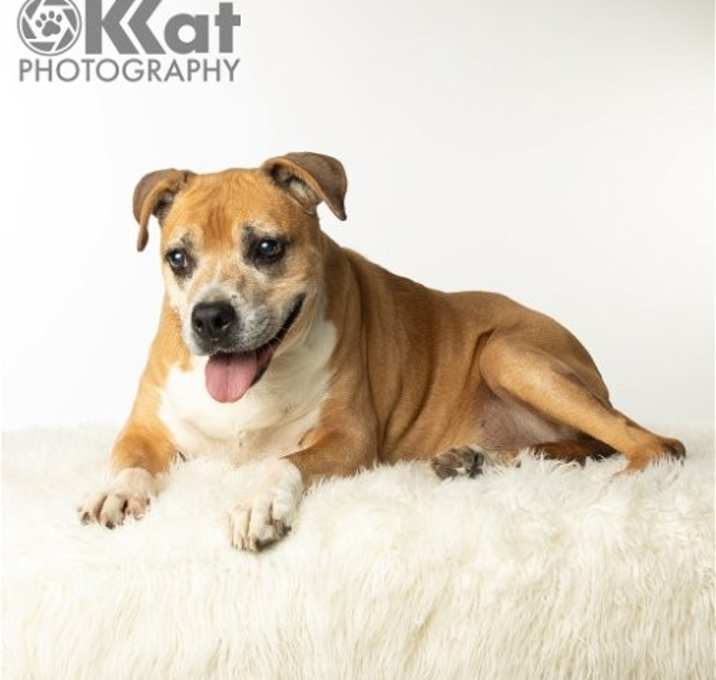 Photo of Daisy